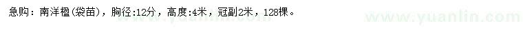 求購胸徑12公分南洋楹