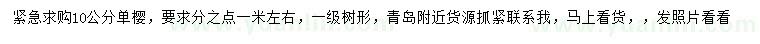 求購10公分單櫻