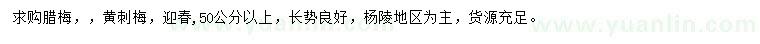 求購(gòu)臘梅、黃刺梅、迎春
