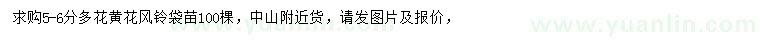 求購5-6公分多花黃花風(fēng)鈴