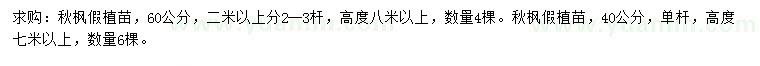 求購40、60公分秋楓