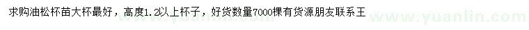 求購(gòu)高1.2米以上油松