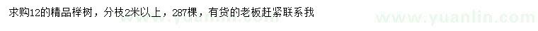求購12公分櫸樹