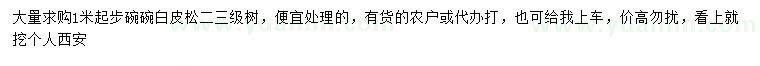 求購(gòu)1米以上白皮松