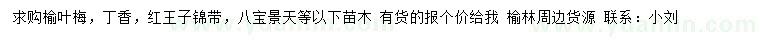 求購榆葉梅、丁香、紅王子錦帶等