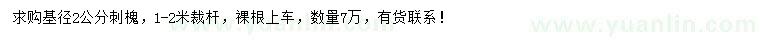 求購高2米紅楓