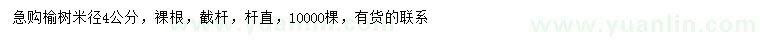 求購(gòu)米徑4公分榆樹(shù)