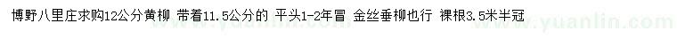 求購(gòu)12公分黃柳