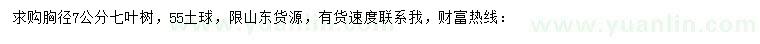 求購胸徑7公分七葉樹