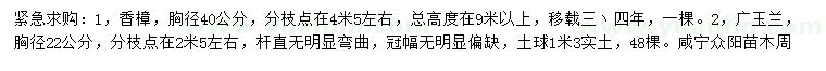 求購(gòu)胸徑40公分香樟、胸徑22公分廣玉蘭