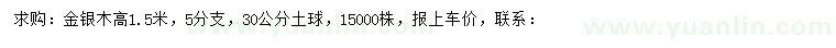 求購高1.5米金銀木