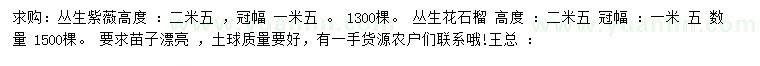 求購(gòu)高2.5米叢生紫薇、叢生花石榴