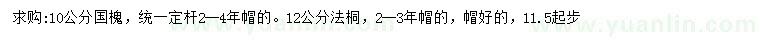 求購10公分國槐、12公分法桐