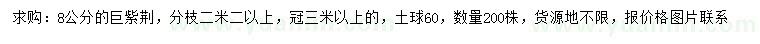 求購8公分巨紫荊