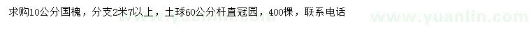 求購10公分國槐