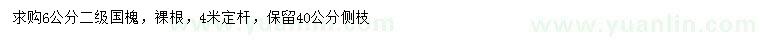 求購6公分國槐