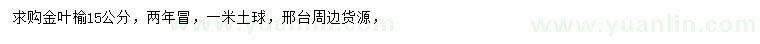 求購15公分金葉榆