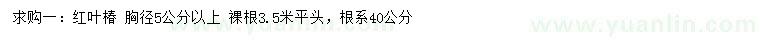 求購(gòu)胸徑5公分以上紅葉椿 
