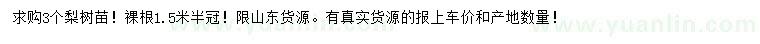 求購3公分梨樹