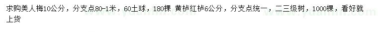 求購(gòu)美人梅、黃櫨、紅櫨