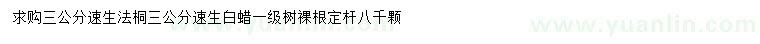 求購3公分速生法桐、速生白蠟