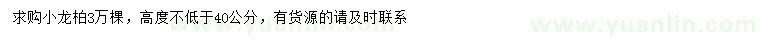 求購(gòu)小龍柏