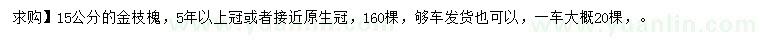 求購15公分金枝槐