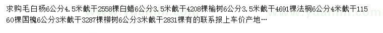 求購毛白楊、白蠟、榆樹等