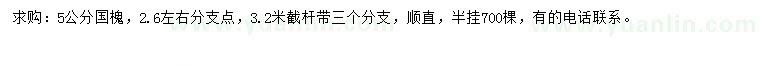 求購5公分國槐