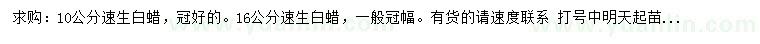 求購10、16公分速生白蠟