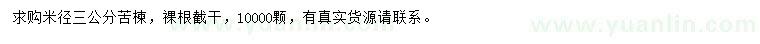 求購米徑3公分苦楝