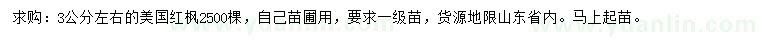 求購3公分左右美國紅楓