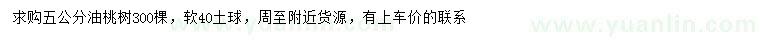 求購(gòu)5公分油桃樹(shù)