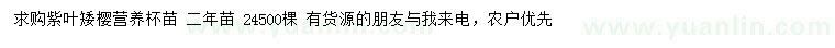 求購2年生紫葉矮櫻