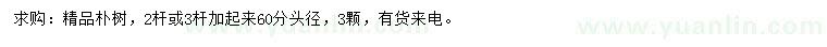 求購樸樹