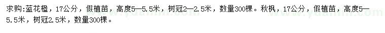 求購17公分藍(lán)花楹、秋楓