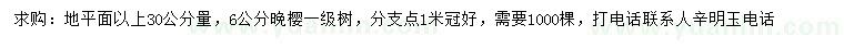 求購(gòu)6公分晚櫻