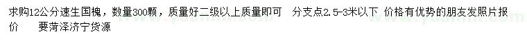 求購12公分速生國槐