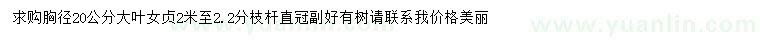 求購胸徑20公分大葉女貞