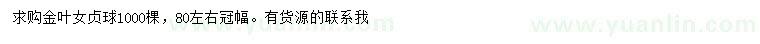 求購冠幅80公分左右金葉女貞球