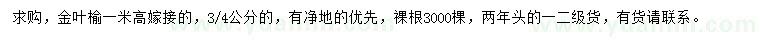 求購(gòu)高1米金葉榆