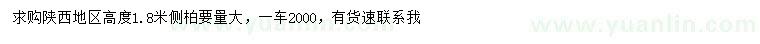 求購高1.8米側(cè)柏