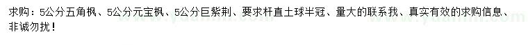 求購五角楓、元寶楓、巨紫荊