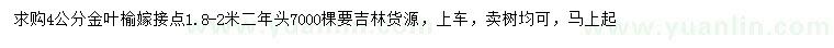 求購4公分金葉榆