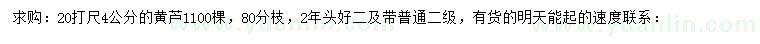 求購4公分黃蘆