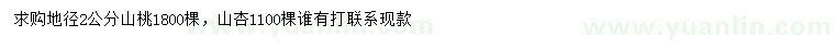 求購地徑2公分山桃、山杏