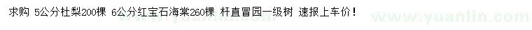 求購5公分杜梨、6公分紅寶石海棠