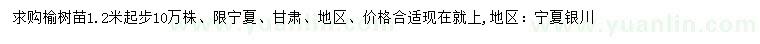 求購1.2米起步榆樹