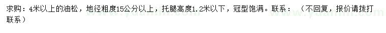 求購4米以上油松