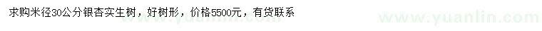 求購米徑30公分銀杏